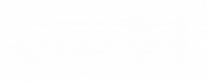 logo-seed-vazado-branco-e1609769056484-300x118